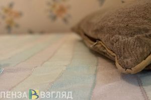 В Пензе и области 3050 семей улучшили жилищные условия на средства маткапитала