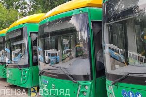 Губернатор рассказал о водителе троллейбуса Алле Мельниковой