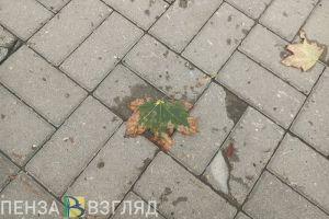 Синоптики рассказали о погоде в Пензенской области 21 ноября