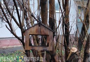 В Пензенской области на выходных будет теплее обычного