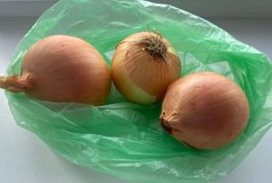 Выращиваю вкусный зеленый лук в пакетах - просто и без грязи: свой продукт к Новому году
