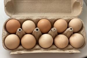 Этот салат ем даже ночью: готовить всего 5 минут - получается вкусно и полезно