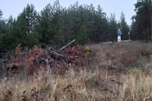 В пензенском селе ждут «идеальные условия», чтобы сжечь мусор у памятника воинам