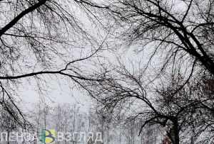 В Пензенской области на выходных может потеплеть до +11 градусов