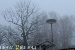В течение 3-х часов на Пензенскую область опустится густой туман