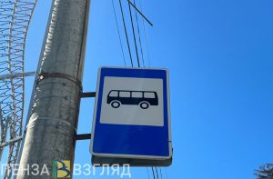Трафареты на остановках и сбор подсолнечника: новости Пензенской области за 23 ноября