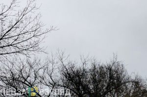 В Пензенской области вводили режим «Беспилотная опасность»