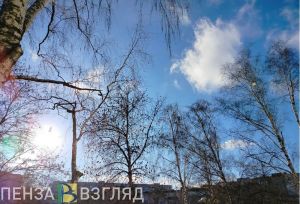 Ночью и днем 24 ноября пензенцев ожидает плюсовая температура