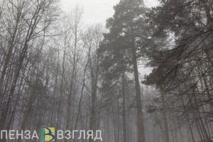 Пензенцев ждет необычно теплая погода в декабре