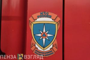 В Пензе при пожаре на улице Пригородной пострадал мужчина