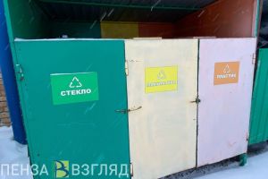 Пензенцы могут пожаловаться по телефону на переполненные мусорные контейнеры
