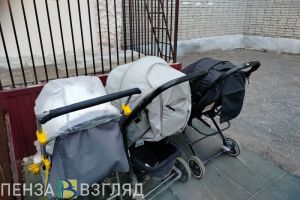 Качан рассказал о первых итогах демографического проекта в Пензенской области