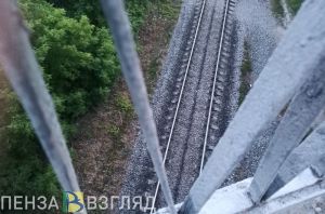 У жителя Заречного при себе нашли более 440 граммов наркотического средства