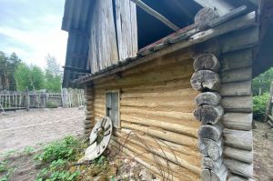 Вот что нужно сделать в ноябре на даче: до весны откладывать нельзя