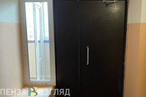В Лунинском районе лисы заходят в подъезды домов и крадут кур