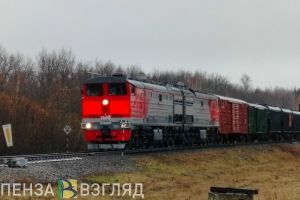 Полиция задержала молодого человека за порчу вагонов в Пензе