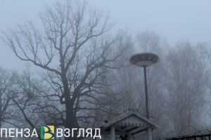 28 ноября в Пензенской области ожидается сильный туман
