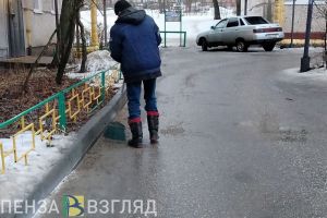 В Пензенской области 28 ноября пройдет снег с дождем