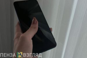 Пензенцев предупредили о новой схеме мошенничества с Госуслугами