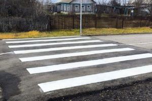 В Пензенском районе по просьбам жителей установили «лежачего полицейского»
