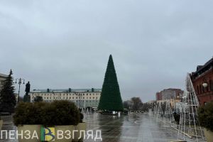 В Пензе собрали новогоднюю елку на площади Ленина