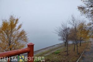 Пензенская область в последний день осени погрузится в густой туман