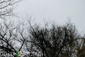 Жителей Пензенской области ждет теплое начало зимы