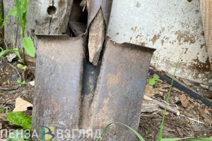 Житель Сердобского района ударил жену лопатой из-за переписки в телефоне