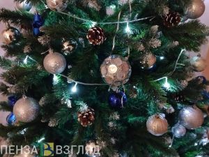 В Пензе возобновили акцию «Елка добра» для онкобольных