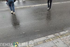 В 2025 году в Пензенской области на 8,1% увеличилось число ДТП с пешеходами