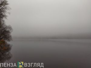 В Пензенской области 2 декабря будет теплая и дождливая погода