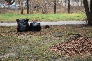 В ноябре в Пензе ликвидировали 208 стихийных свалок