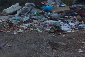 Пензенцам предложили решить «наказом» проблему грязи на контейнерных площадках