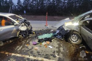 Спасатели опубликовали фото с места ДТП с 3 погибшими в Пензенской области