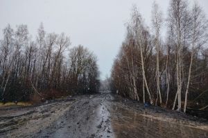 В Пензенской области побит температурный рекорд 1878 года