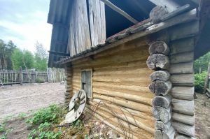 Шпаргалка дачника на декабрь - вот какие работы нужно провести: до весны оставлять нельзя