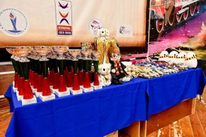 В Пензе прошел межрегиональный фестиваль по чир-спорту