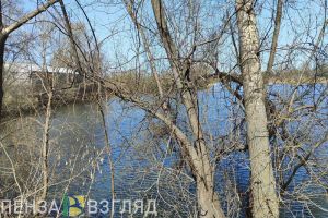 Прогулка у реки может стоить жителю Кузнецка 15 лет свободы