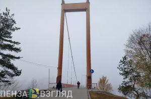 Названы причины, влияющие на уровень смертности в Пензенской области