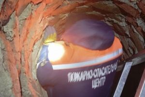 В Пензенской области пожарные спасли изможденную собаку, провалившуюся в колодец