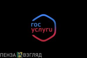 Ряд документов на «Госуслугах» пензенцев хотят приравнять к бумажным версиям