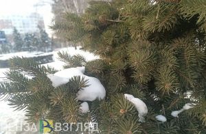 Пензенская область окажется во власти скандинавских циклонов