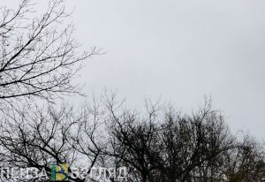 Пензенцев ожидают магнитные бури 9 и 10 декабря