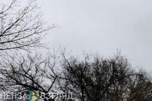 В Пензенской области на 6 часов закрывали небо по плану «Ковер»