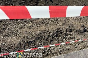 В селе Гранки Бековского района ввели карантин из-за бешенства