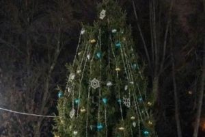 В Пензе на Соборной площади появилась новогодняя елка
