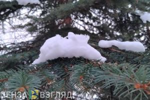 В Терновке пожаловались на демонтаж новогодней елки и «беспросветный мрак»