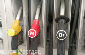 В Пензенской области подорожали топливо и обручальные кольца