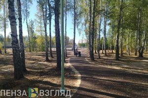 В сквере «Семейный» в Пензе установят тренажеры и качели