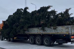 На центральной площади Кузнецка установили главную новогоднюю ель